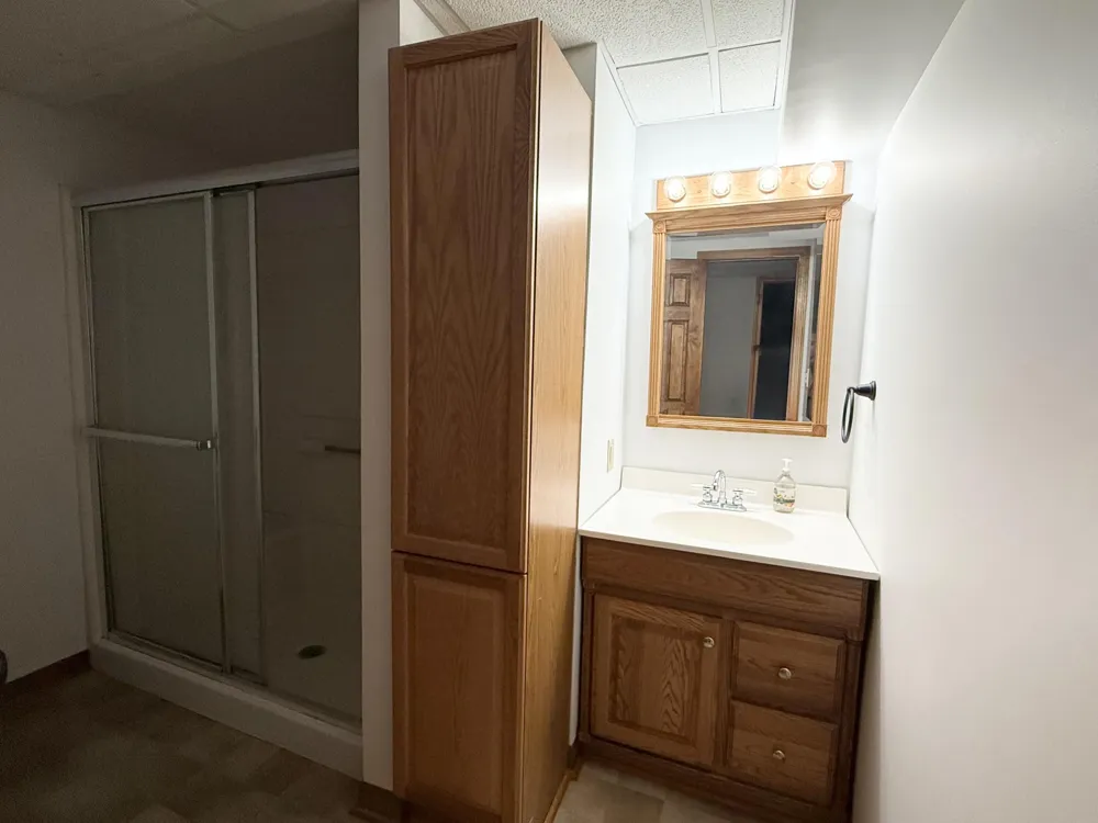 13323 Twin Creek Lane NE Oakfield Township, MI 48838