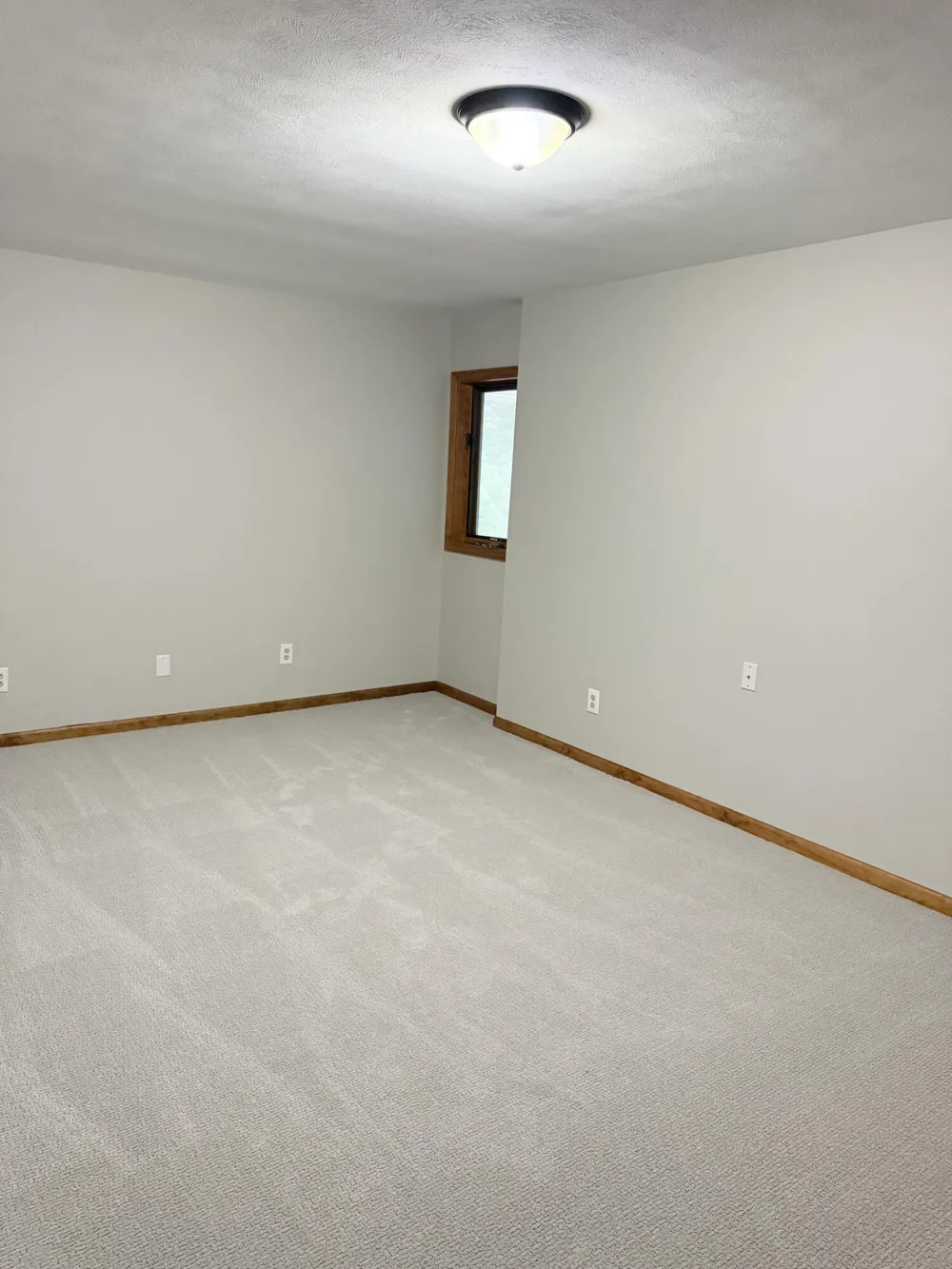 13323 Twin Creek Lane NE Oakfield Township, MI 48838