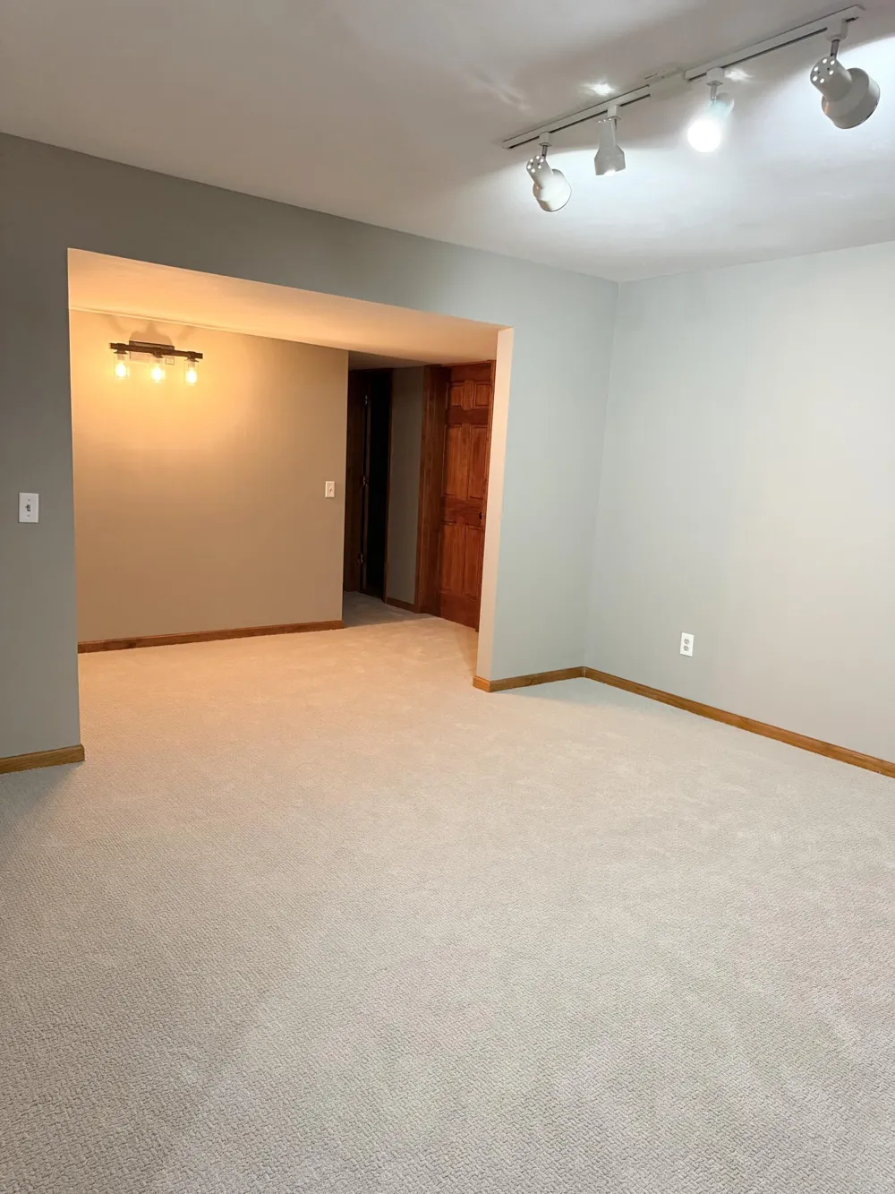 13323 Twin Creek Lane NE Oakfield Township, MI 48838