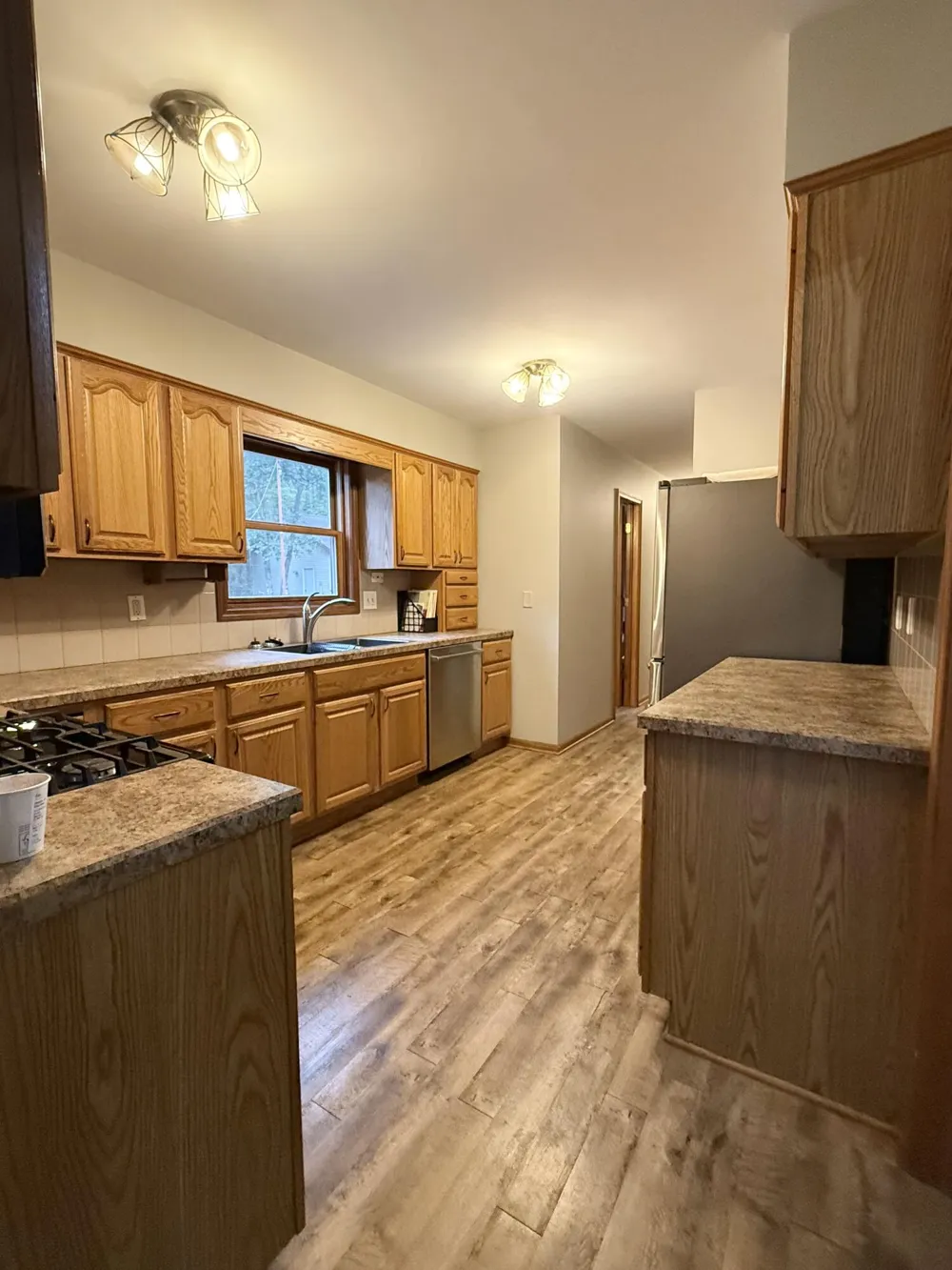 13323 Twin Creek Lane NE Oakfield Township, MI 48838
