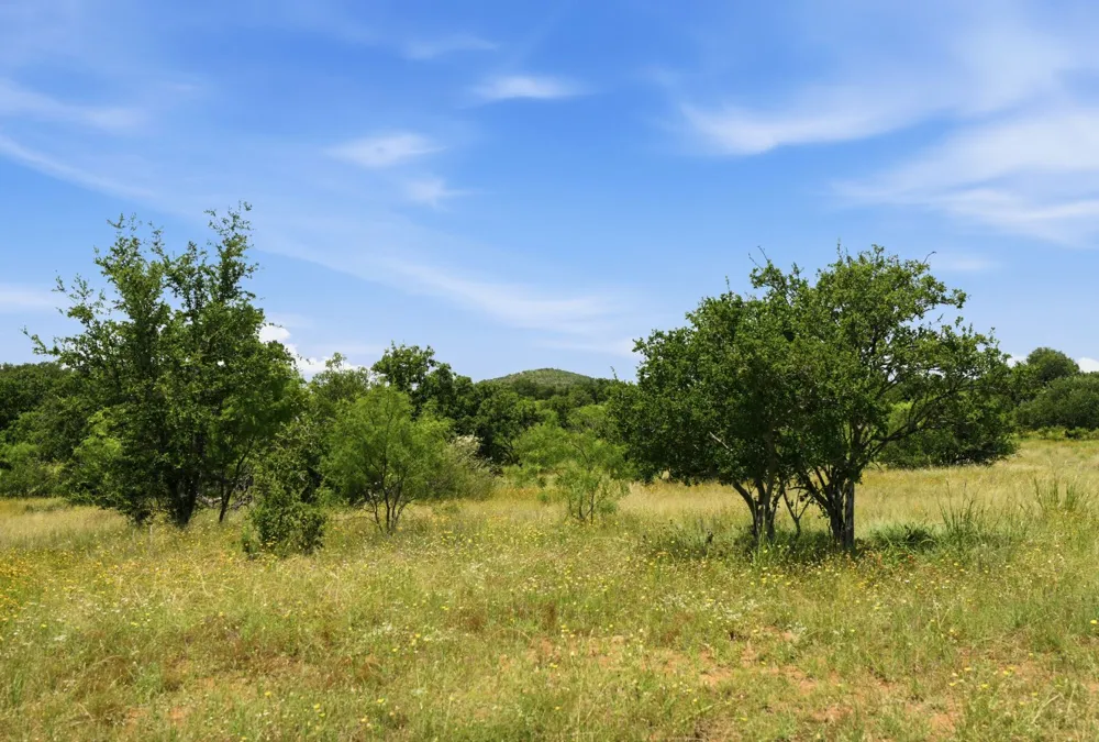 5230 County Road 409 Valley Spring, TX 76885