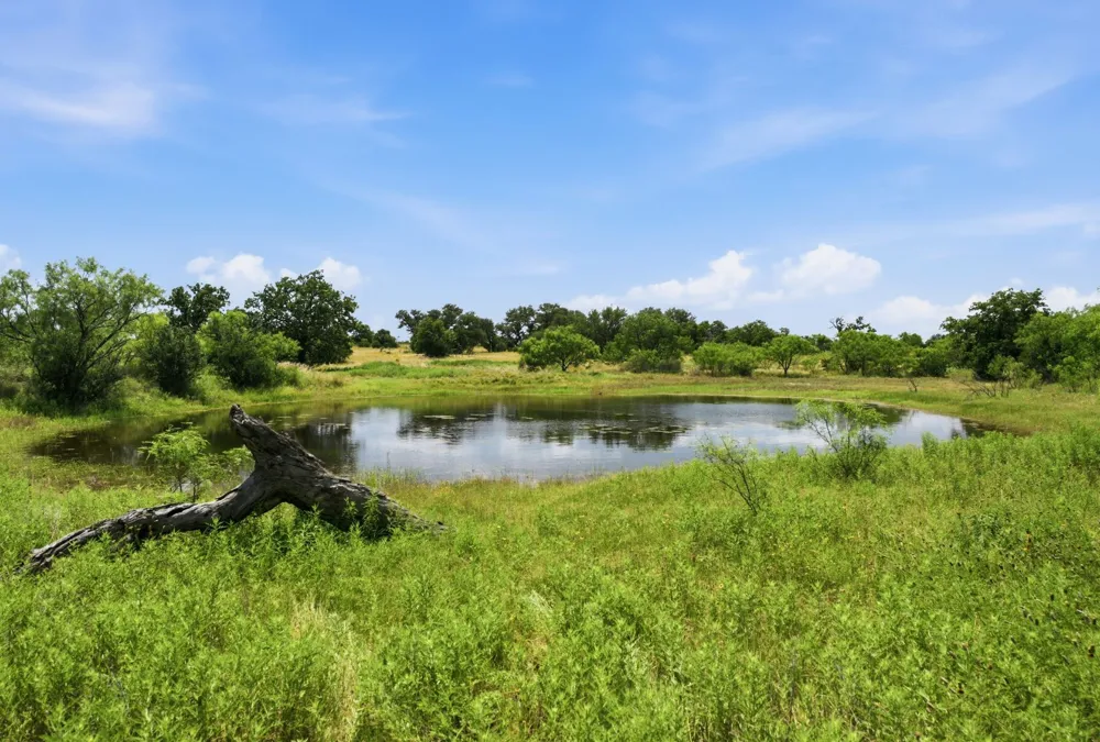 5230 County Road 409 Valley Spring, TX 76885