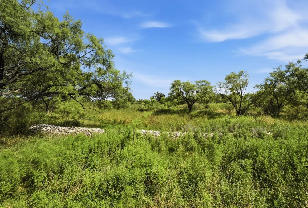 5230 County Road 409 Valley Spring, TX 76885