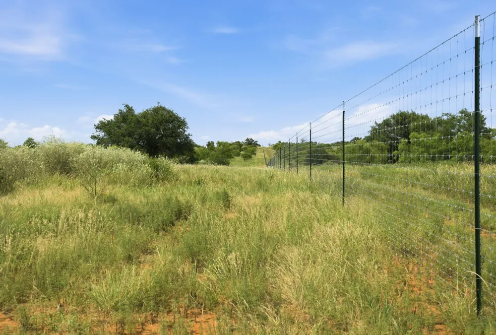 5230 County Road 409 Valley Spring, TX 76885