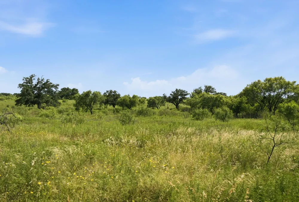 5230 County Road 409 Valley Spring, TX 76885