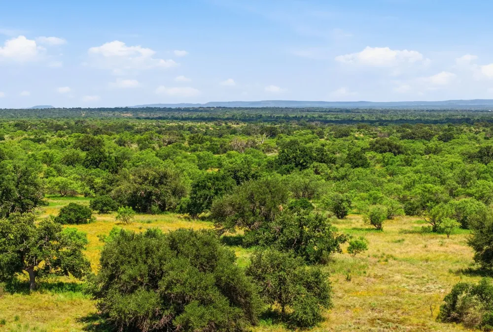 5230 County Road 409 Valley Spring, TX 76885