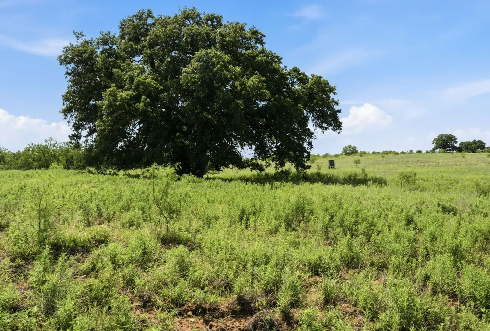 5230 County Road 409 Valley Spring, TX 76885