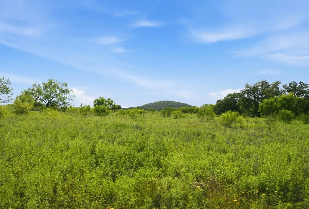 5230 County Road 409 Valley Spring, TX 76885