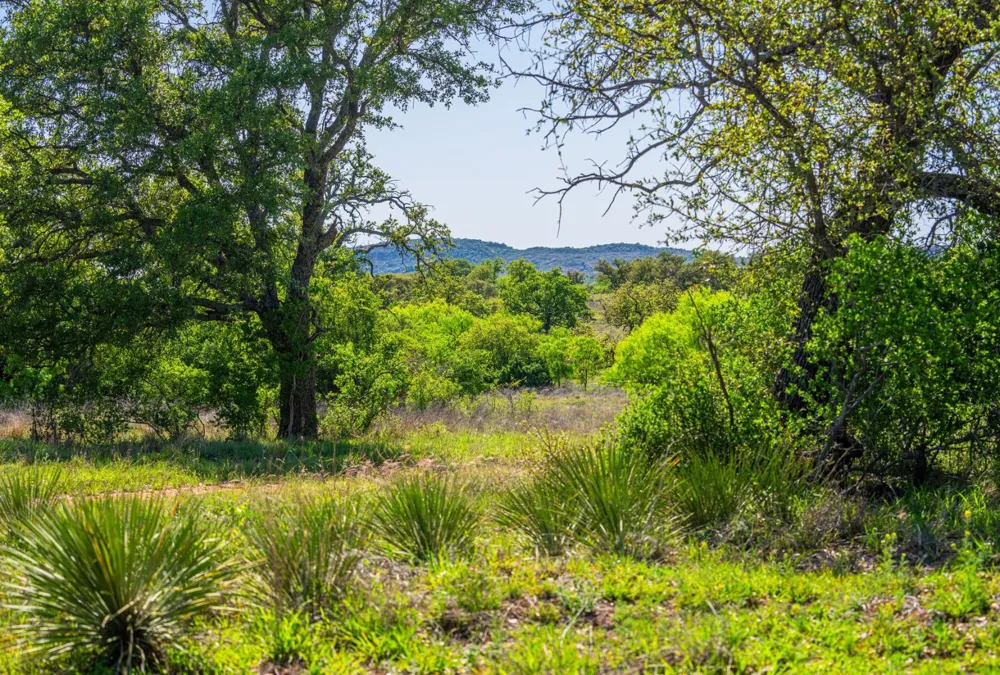 5230 County Road 409 Valley Spring, TX 76885