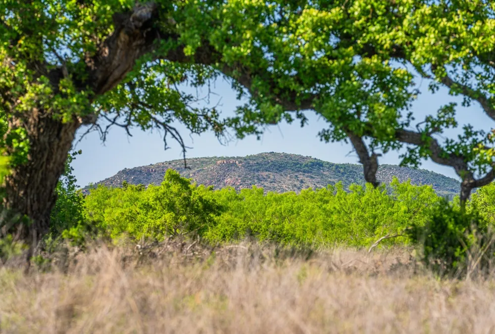 5230 County Road 409 Valley Spring, TX 76885