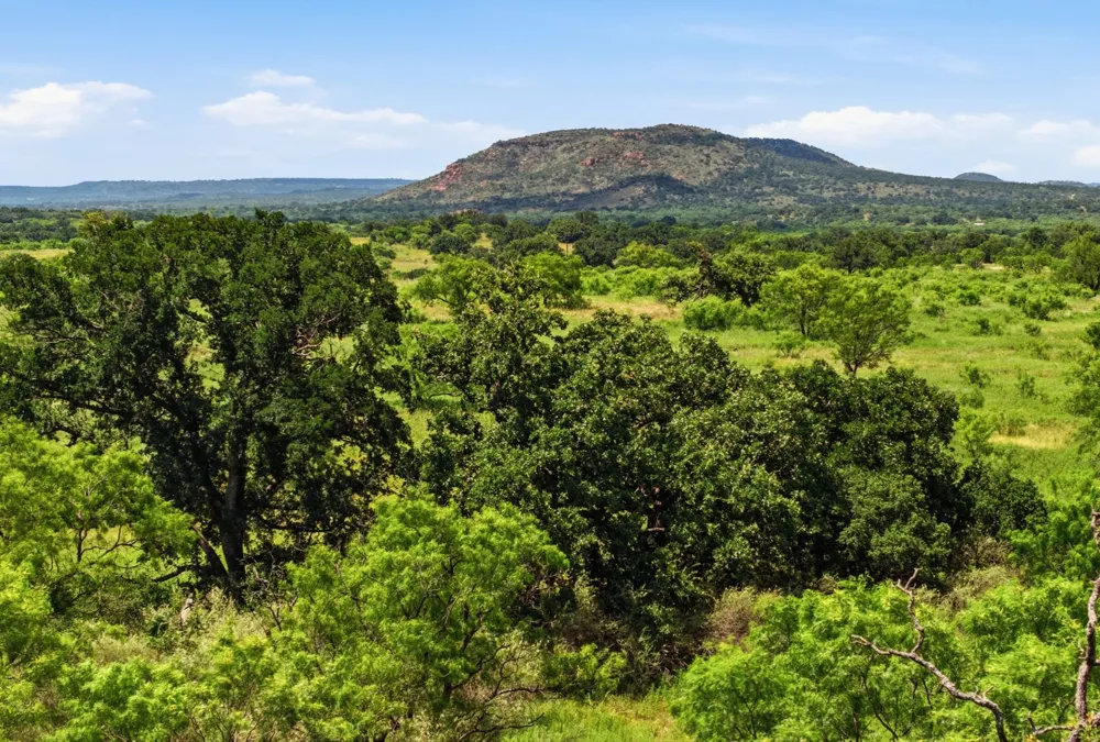 5230 County Road 409 Valley Spring, TX 76885