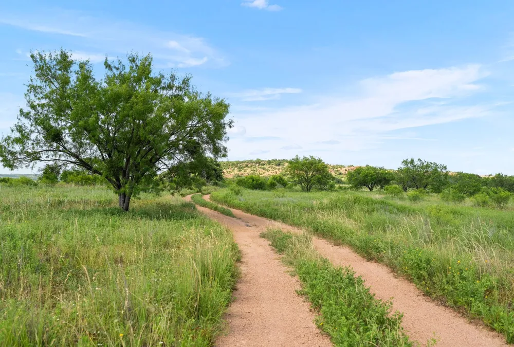 5230 County Road 409 Valley Spring, TX 76885