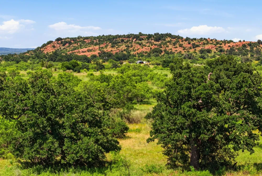 5230 County Road 409 Valley Spring, TX 76885