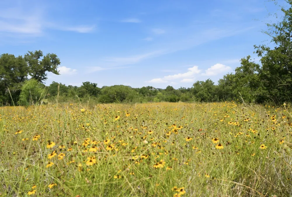5230 County Road 409 Valley Spring, TX 76885