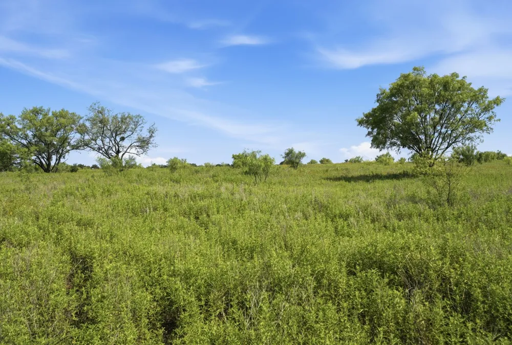5230 County Road 409 Valley Spring, TX 76885