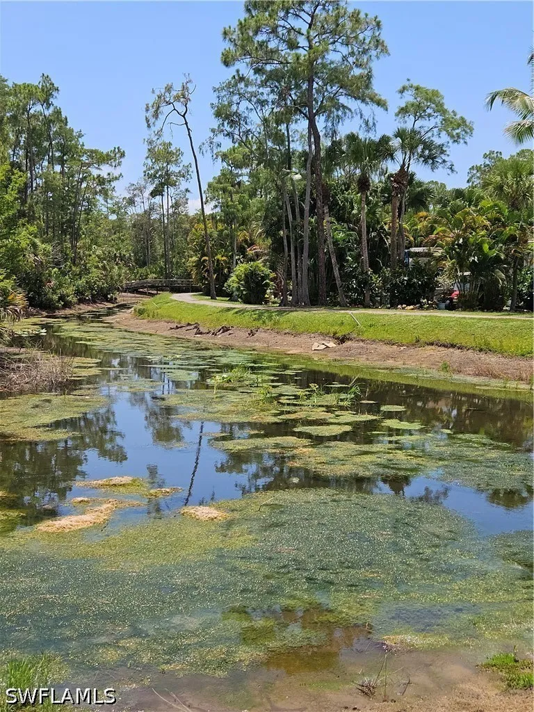 Vireo Circle Estero, FL 33928