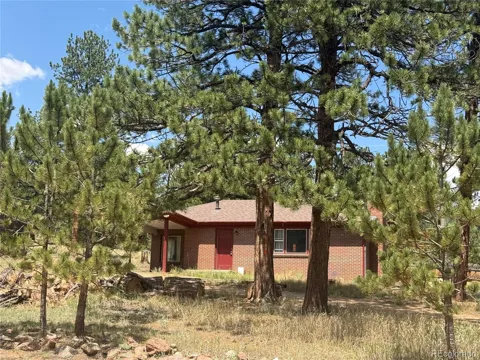 63 Fitzsimmons Road