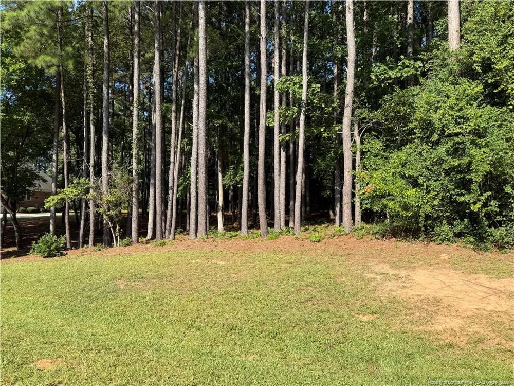 TBD Saintsbury Place Sanford, NC 27332