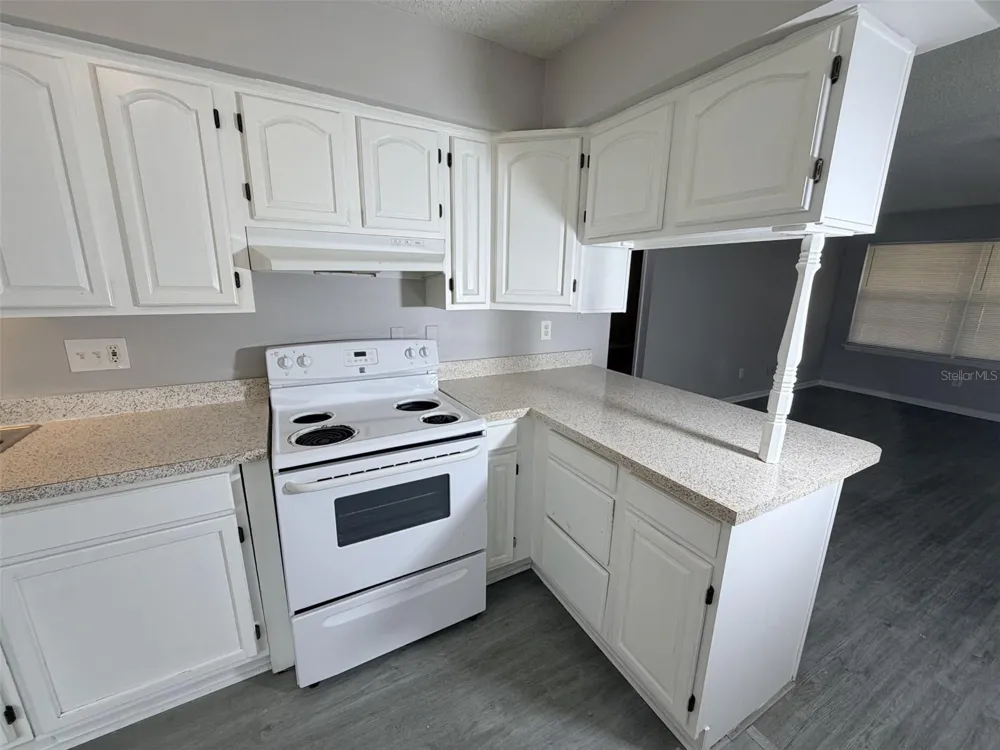 5328 WHITEWAY DRIVE Temple Terrace, FL 33617