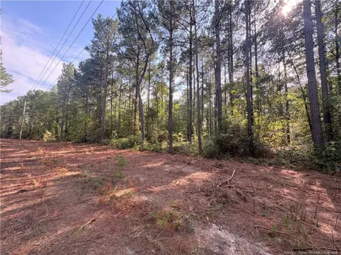 S Plank Road