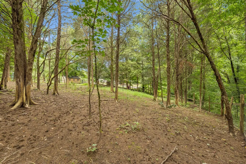 1200 Dawson Rd White Bluff, TN 37187