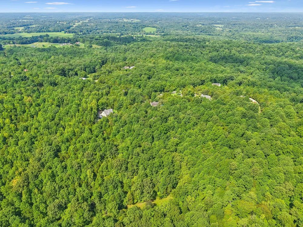 1200 Dawson Rd White Bluff, TN 37187