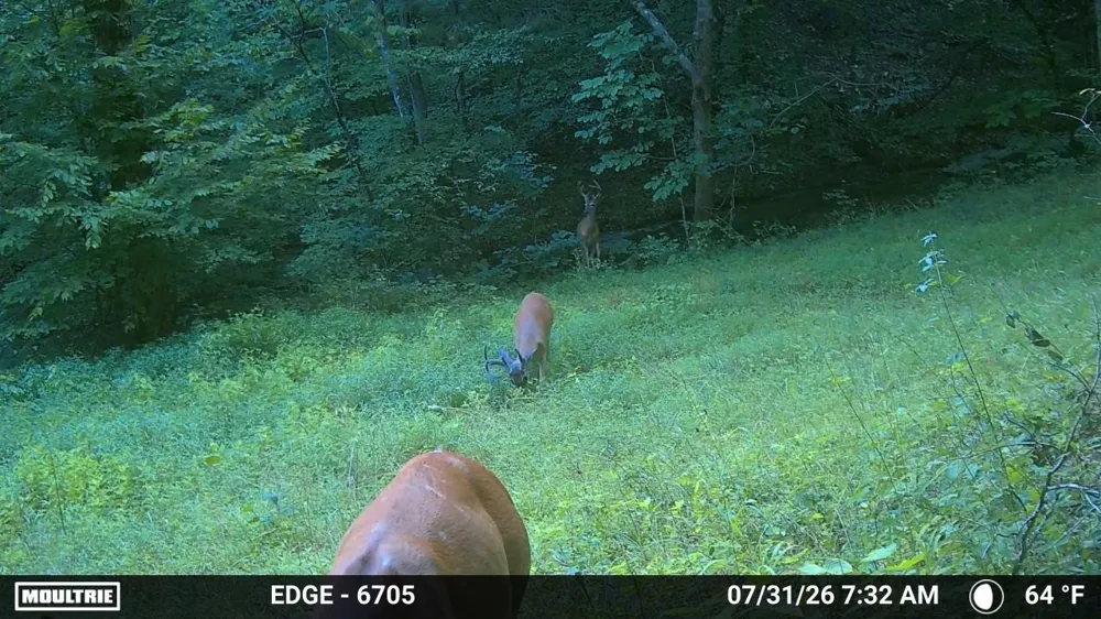 1200 Dawson Rd White Bluff, TN 37187