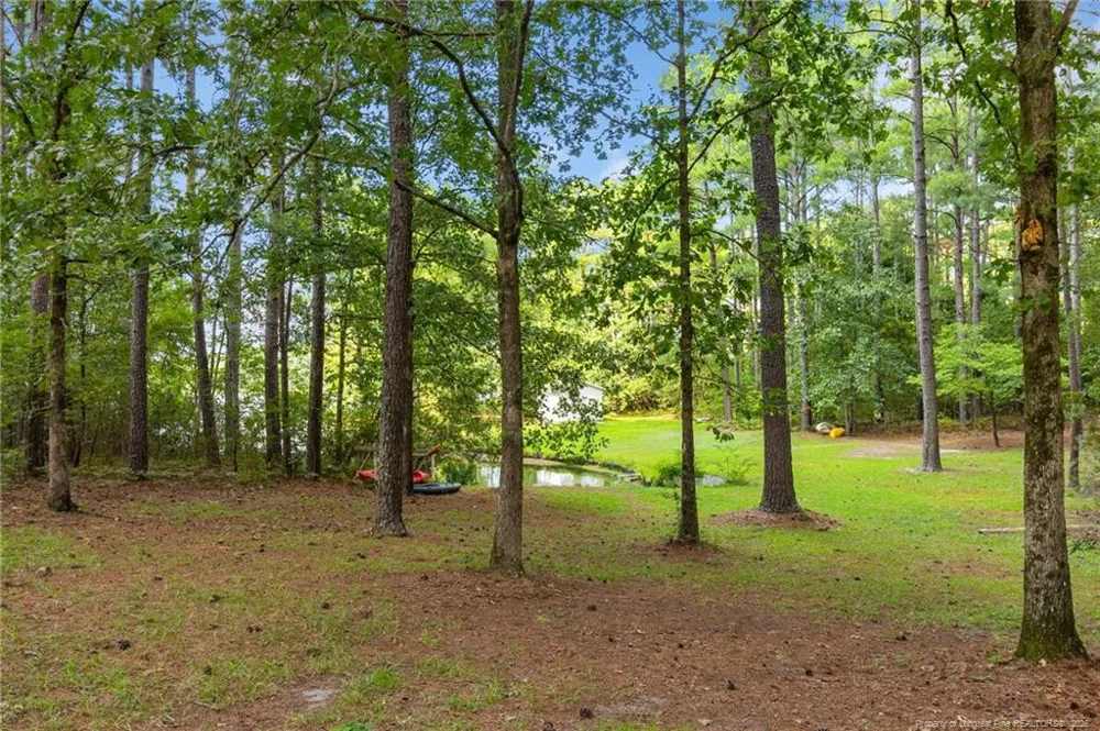 16401 Lakeshore Drive Wagram, NC 28396