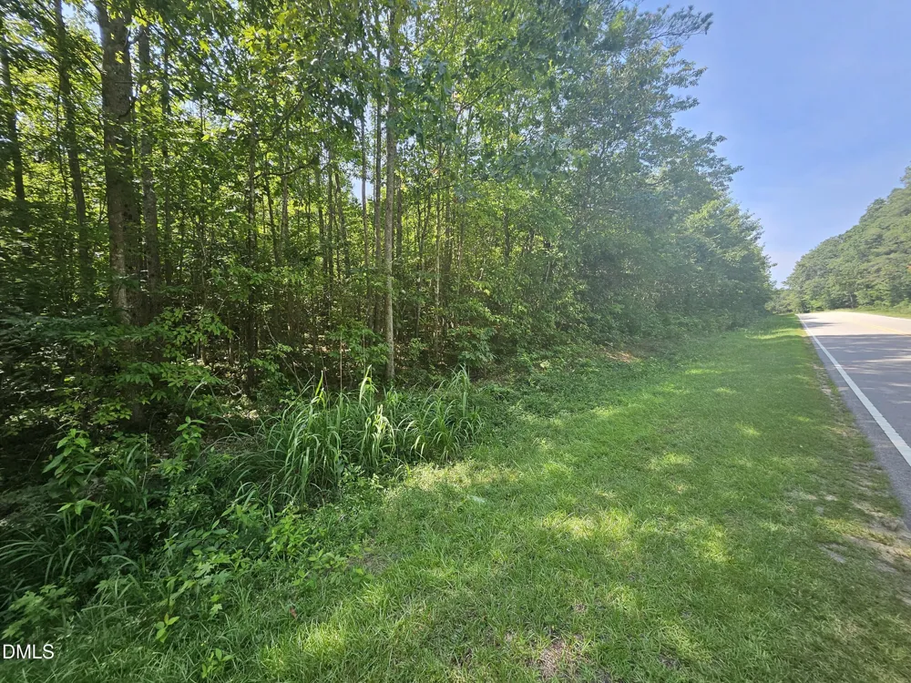 0 Dorsey Road Louisburg, NC 27549