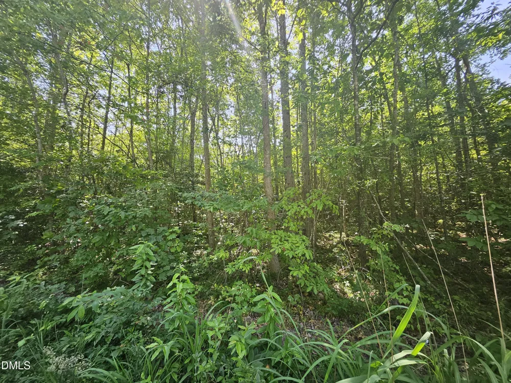 0 Dorsey Road Louisburg, NC 27549