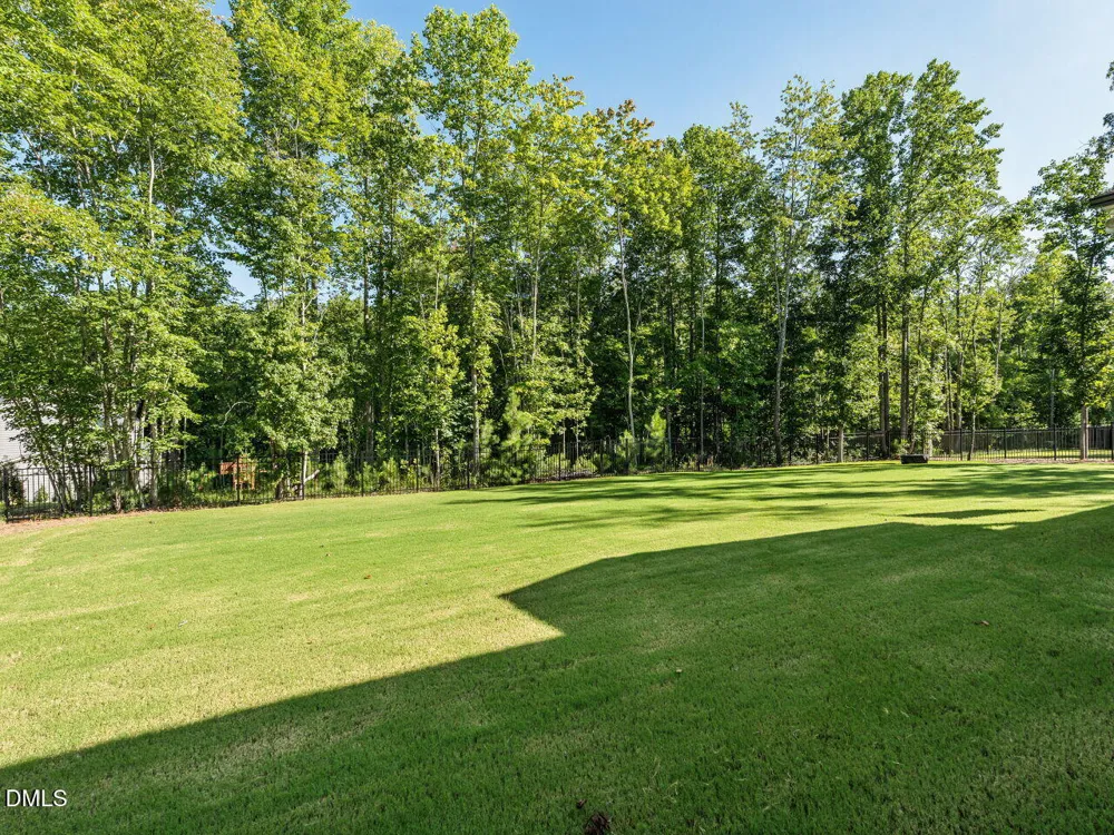 196 W Amber Oak Drive Selma, NC 27576