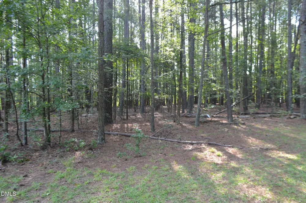 1212 Happy Hunting Hills Drive Holly Springs, NC 27540