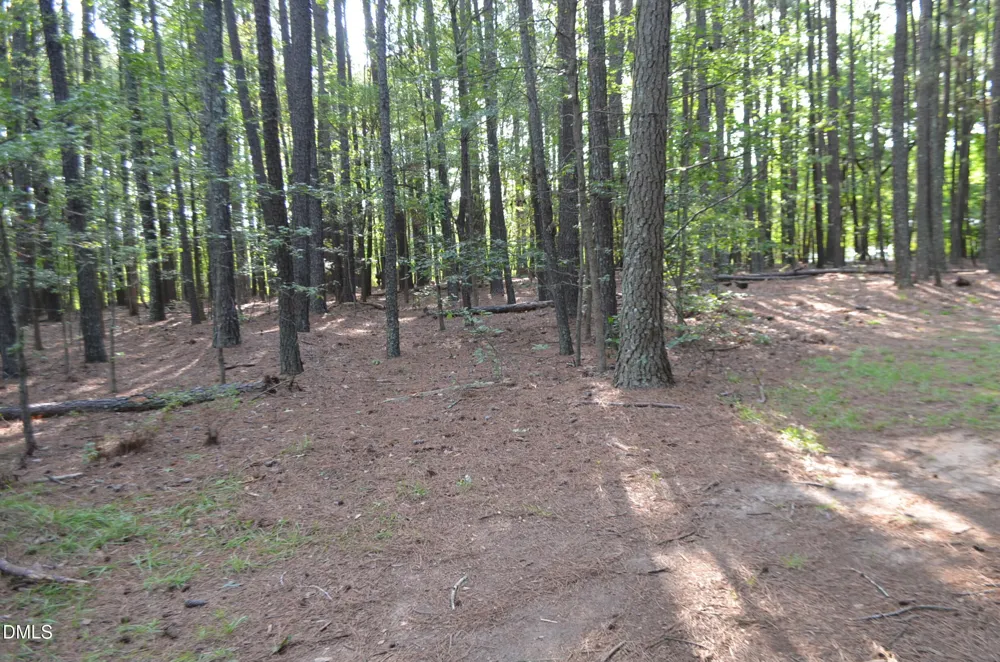 1212 Happy Hunting Hills Drive Holly Springs, NC 27540