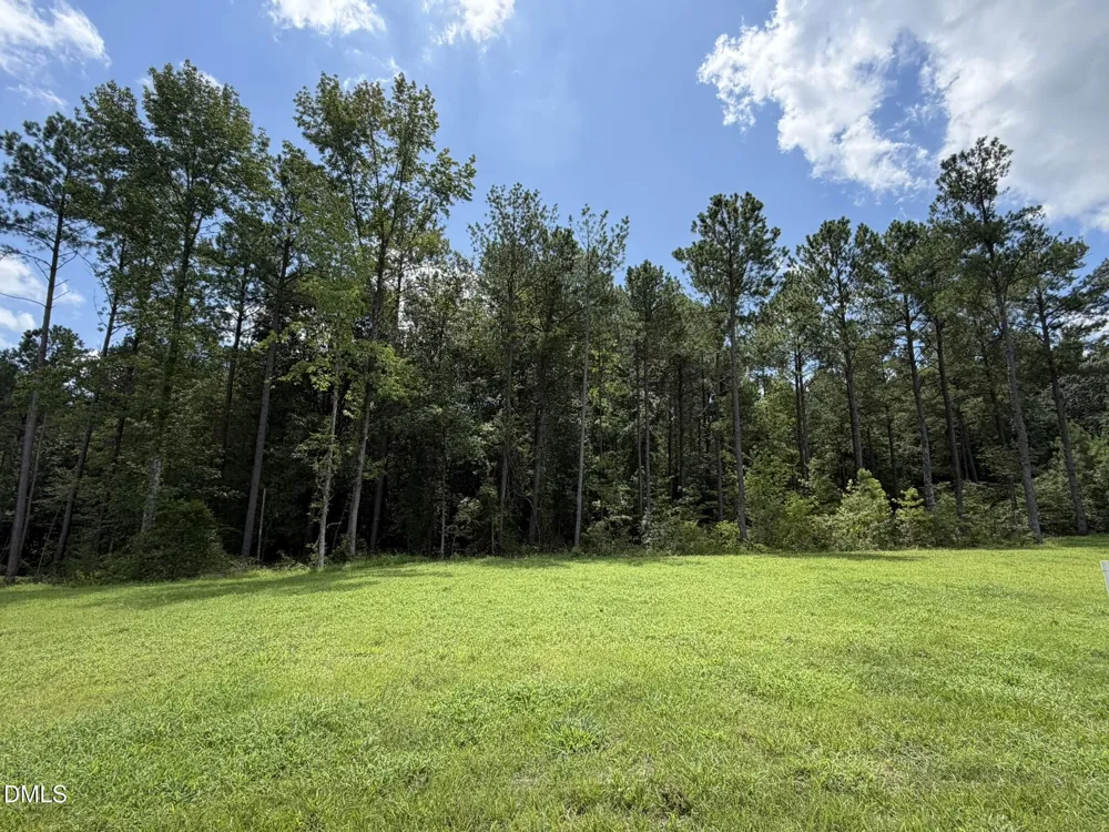 234 Shiloh Drive Lillington, NC 27546