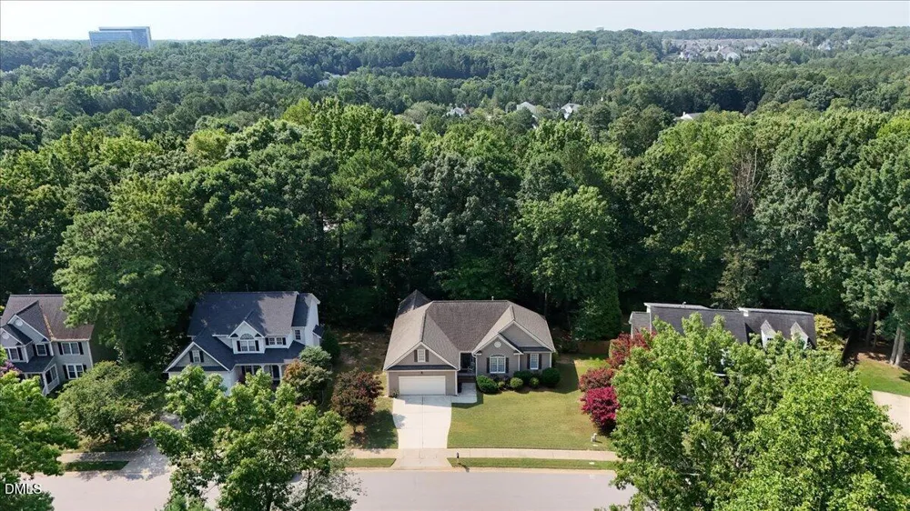 232 Dutch Hill Road Holly Springs, NC 27540