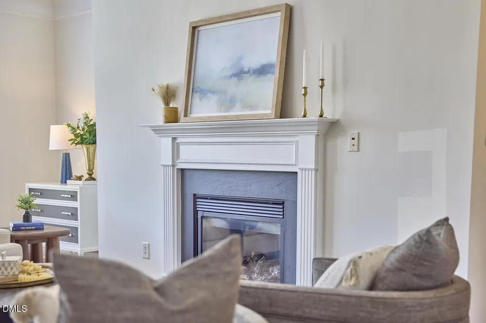 482 Panorama Park Place Cary, NC 27519