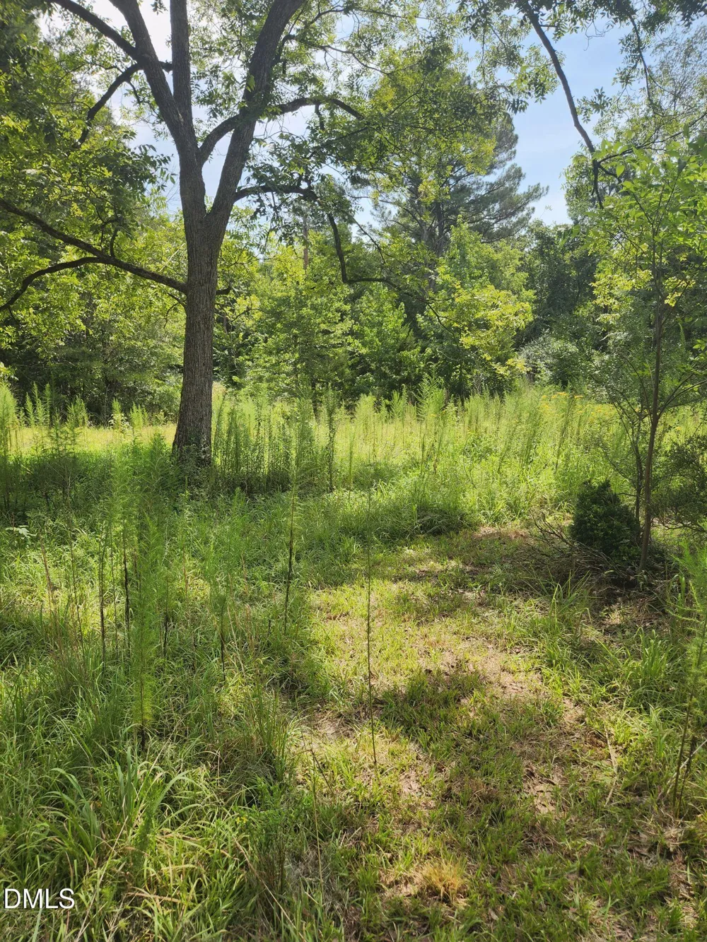 0 Bradshaw Quarry Road Mebane, NC 27302