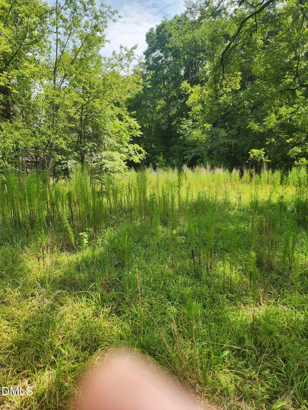 0 Bradshaw Quarry Road Mebane, NC 27302