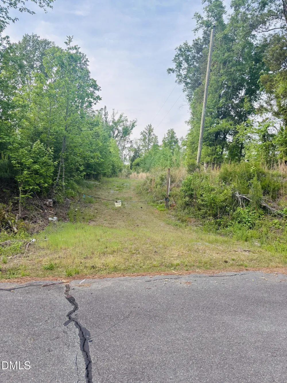 Tbd Alston Horton Service Road Pittsboro, NC 27312