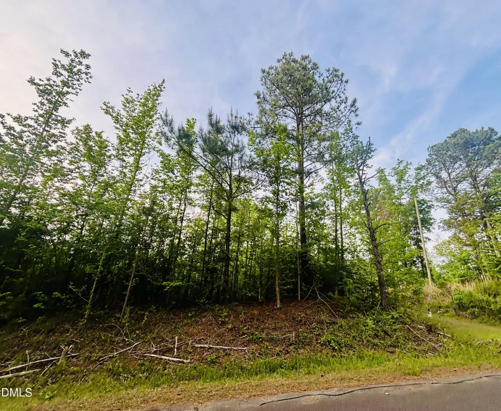 Tbd Alston Horton Service Road Pittsboro, NC 27312