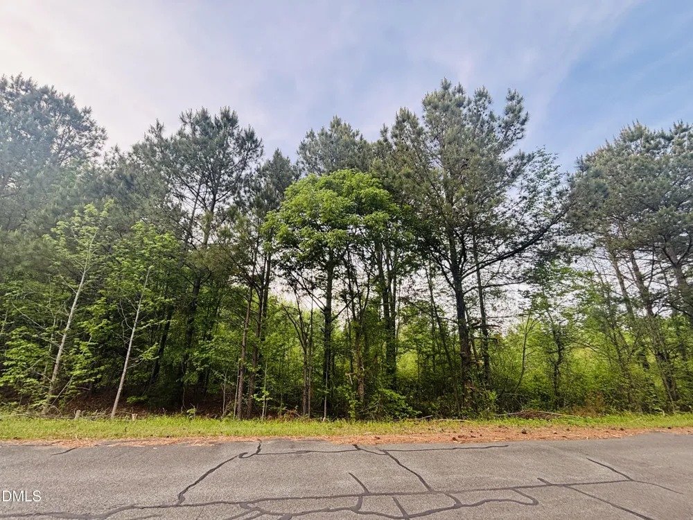 Tbd Alston Horton Service Road Pittsboro, NC 27312