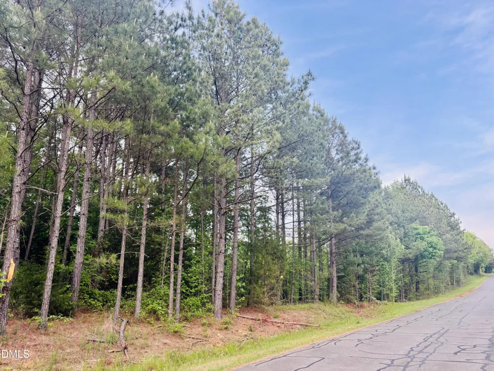 Tbd Alston Horton Service Road Pittsboro, NC 27312