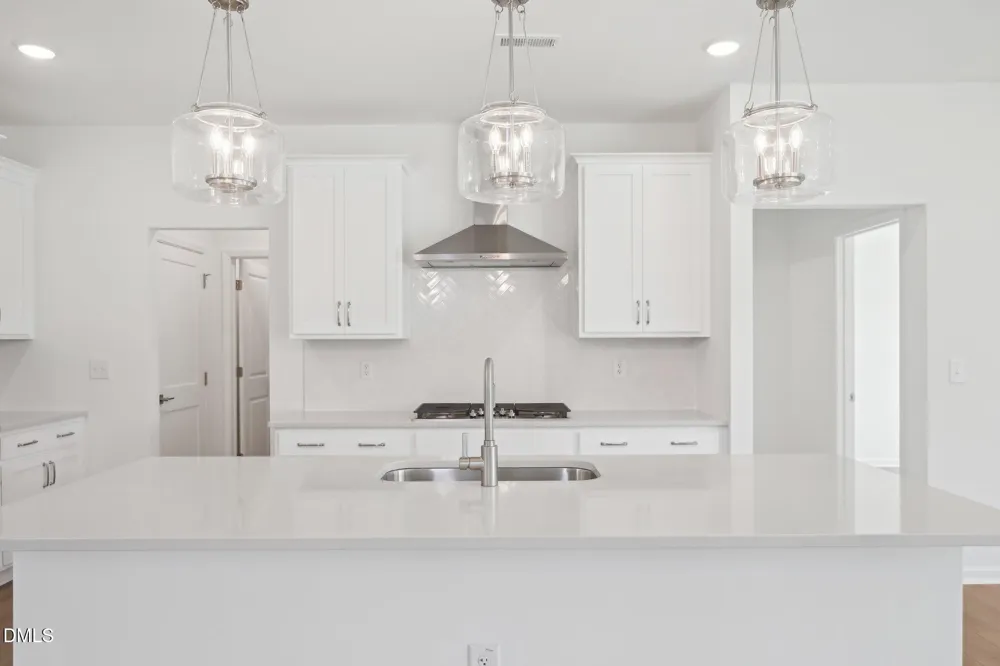 232 S Harvest Rdg Way #Homesite 293 Wilsons Mills, NC 27520