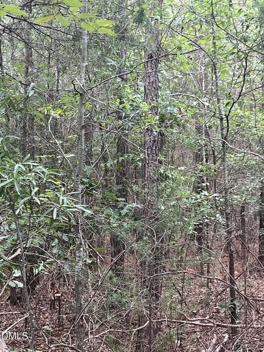 0 Highway 49 Mebane, NC 27302