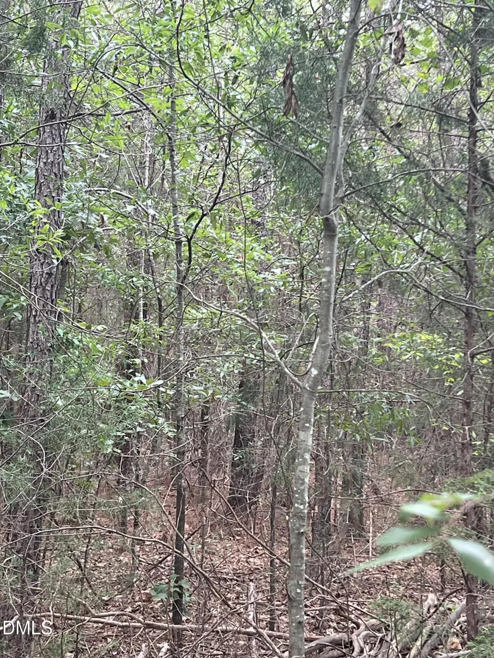 0 Highway 49 Mebane, NC 27302