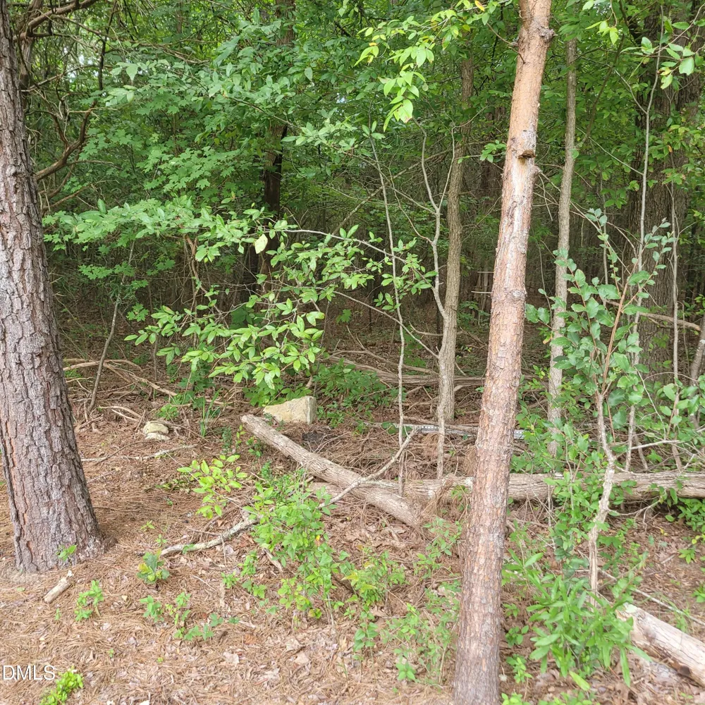 0 Highway 49 Mebane, NC 27302