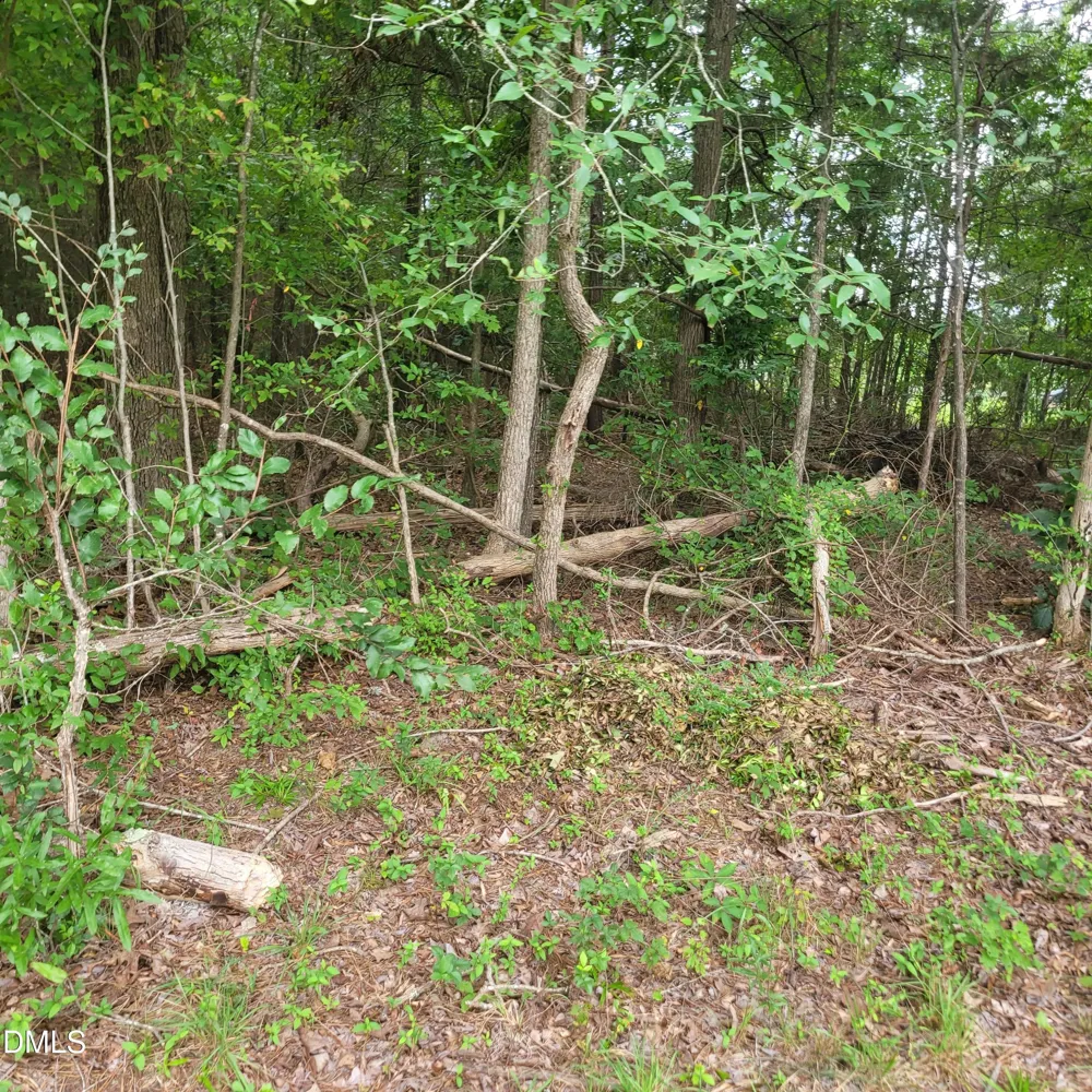 0 Highway 49 Mebane, NC 27302