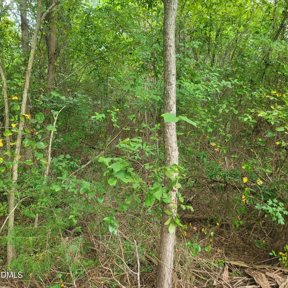 0 Highway 49 Mebane, NC 27302