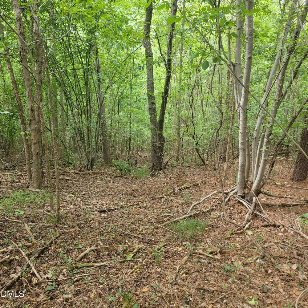0 Highway 49 Mebane, NC 27302