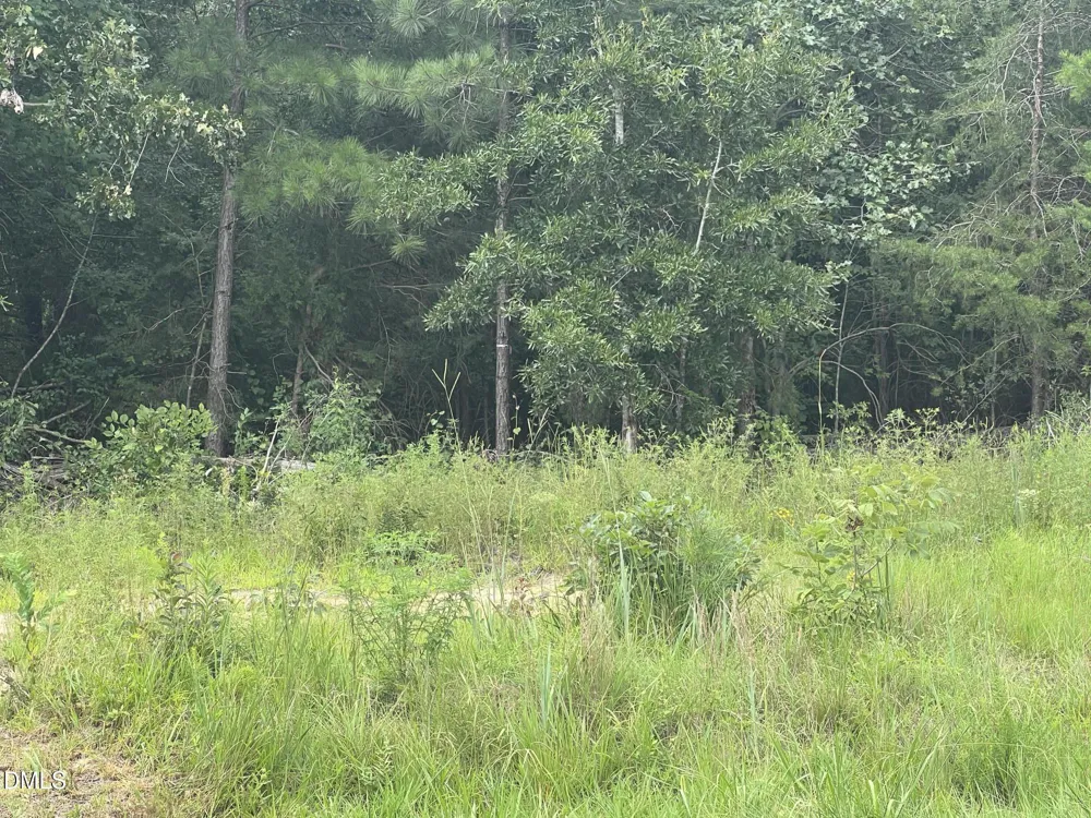 0 Highway 49 Mebane, NC 27302